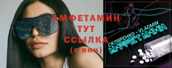 прущие грибы Грязовец