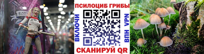 KRAKEN ссылка  Ивангород  Галлюциногенные грибы прущие грибы 